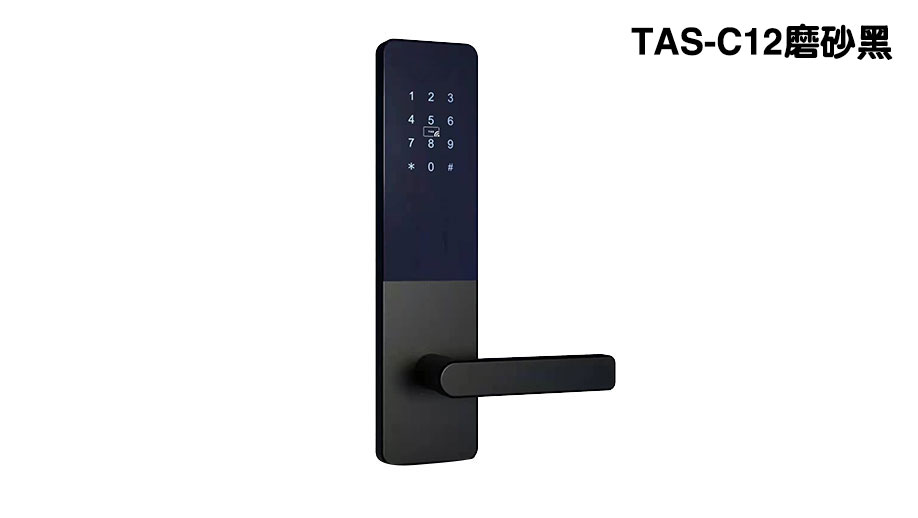 刷卡密码锁 TAS-C12